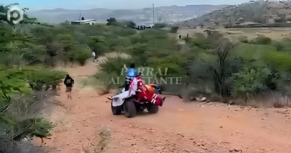 Localizan con vida a joven desaparecido en el cerro de la Antena